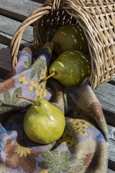 Similar image 1487744