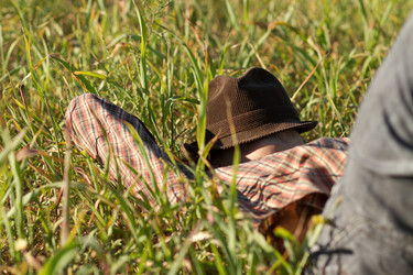 Similar image 1487762