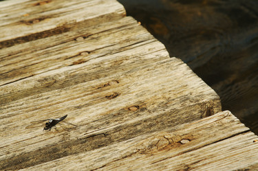 Similar image 1487770