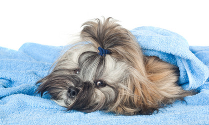 Similar image 1487837