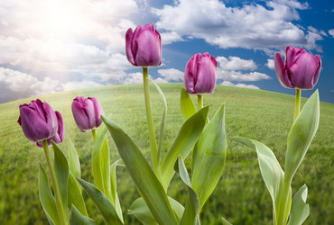 Similar image 1487970