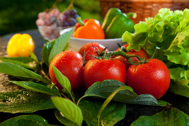 Similar image 1488106