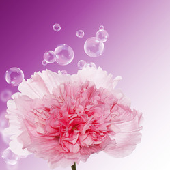 Similar image 1488147