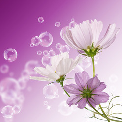 Similar image 1488208