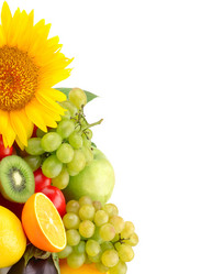 Similar image 1488327