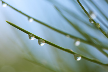 Similar image 1488511