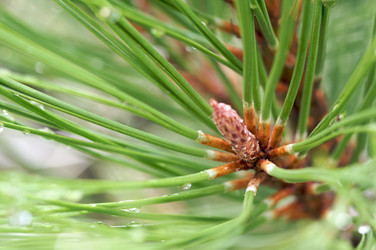 Similar image 1488515