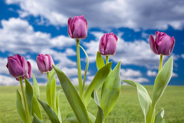 Similar image 1488574