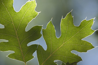 Similar image 1488609