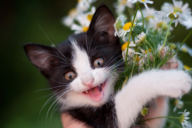 Similar image 1488668