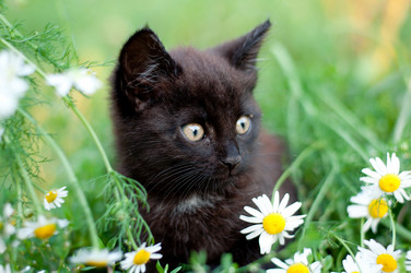 Similar image 1488669