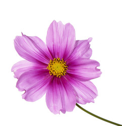 Similar image 1488716