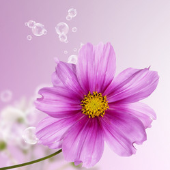 Similar image 1488742