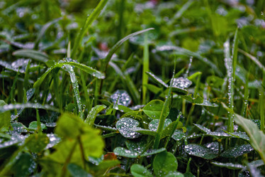 Similar image 1488824