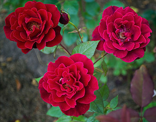 Similar image 1488825