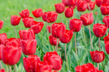 Similar image 1488971