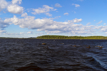 Similar image 1489071