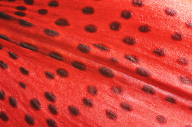 Similar image 1489075