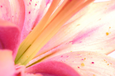 Similar image 1489076