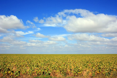 Similar image 1489081