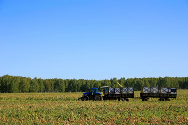 Similar image 1489083