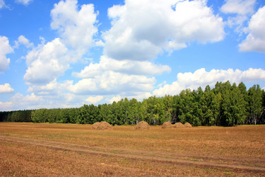 Similar image 1489084