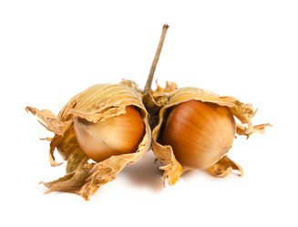 Similar image 1489095