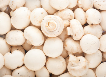 Similar image 1489097