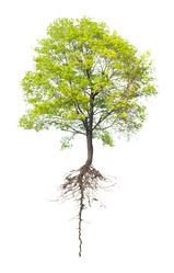 Similar image 1489184