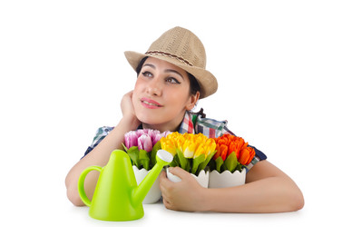 Similar image 1489287