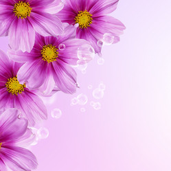 Similar image 1489336