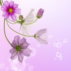 Similar image 1489338