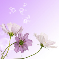 Similar image 1489341