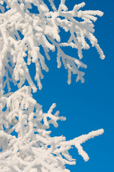 Similar image 1489344