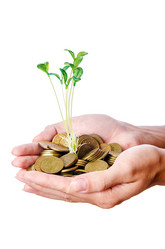 Similar image 1489602