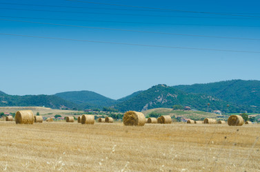 Similar image 1489675