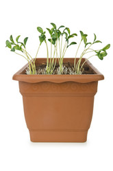 Similar image 1489783