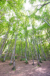 Similar image 1489876