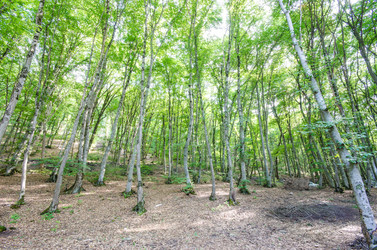 Similar image 1489877