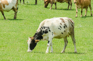 Similar image 1489911