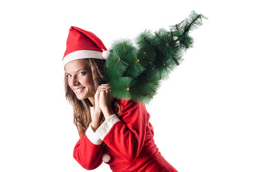 Similar image 1489957