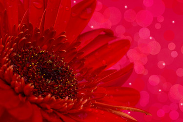 Similar image 1490025