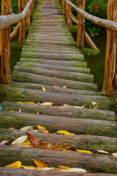 Similar image 1490142