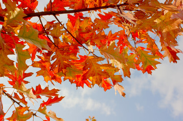 Similar image 1490144