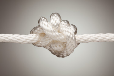 Similar image 1490846