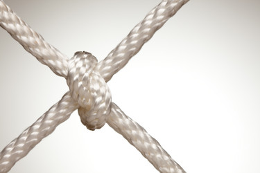 Similar image 1490864