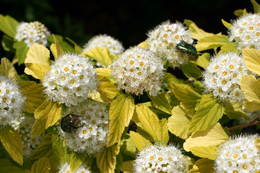 Similar image 1491064