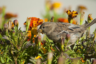 Similar image 1491553