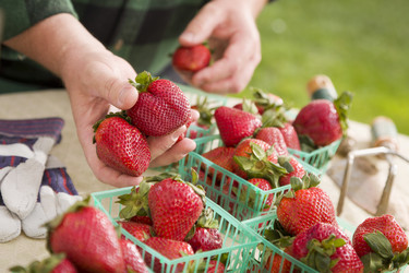 Similar image 1491680