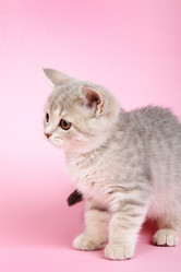 Similar image 1493147